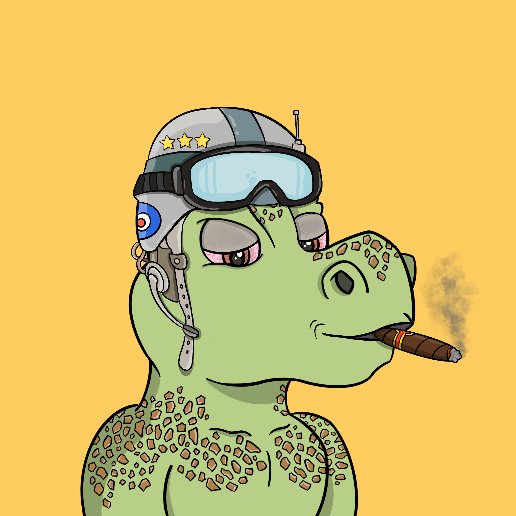 Dino Troop #13